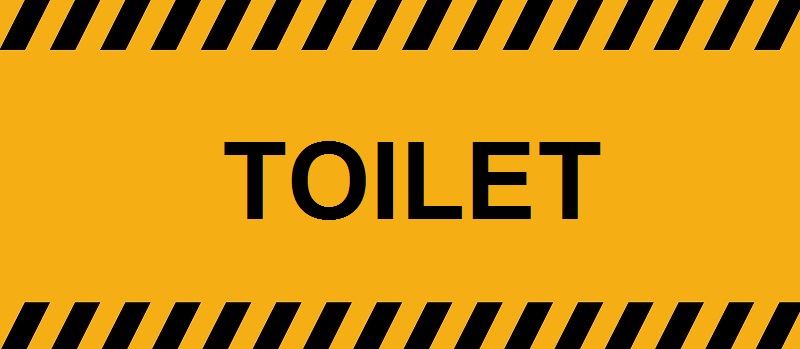 Asia Voyeur – WC Korean Shop No.4