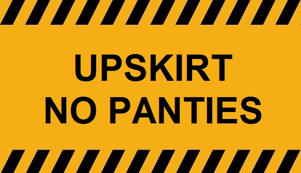 Upskirt No Panties No.11