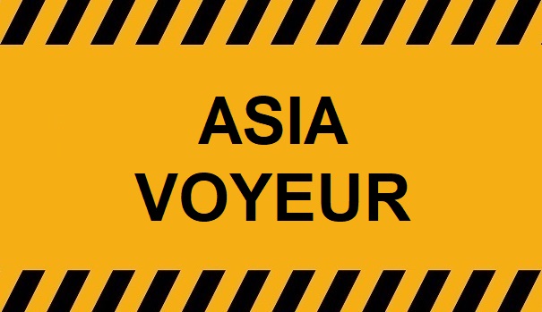 Asia Voyeur – Changsha Hotel Toilet