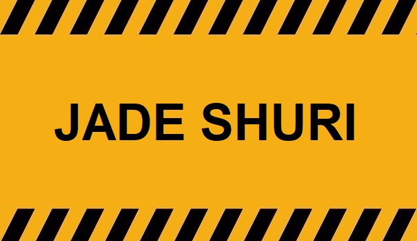 Crazy And Shocking Asia – Jade Shuri Panty No.2