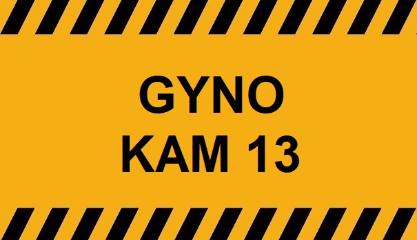 Voyeur Gyno Cam – KAM13 20220210 1947