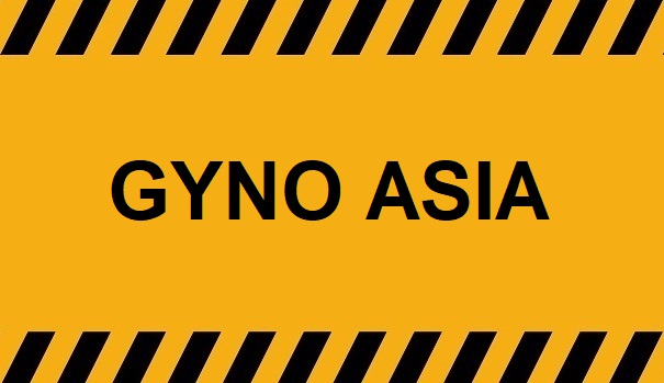 Korean Gyno Clinic IP15 No.4