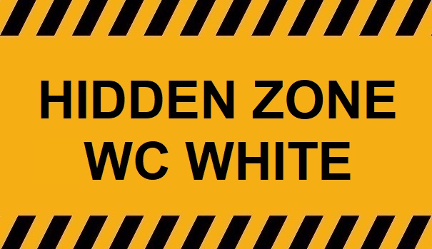 Hidden Zone WC – White Toilet No.30