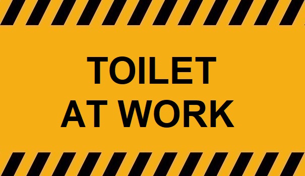 Overhead Nurse Toilet No.2