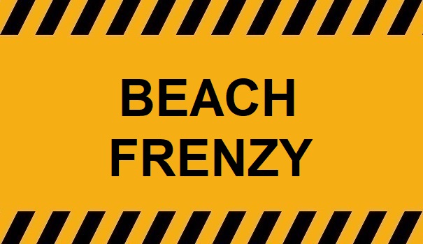 Beach Frenzy [4K] No.9