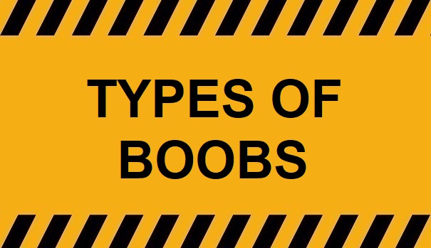 Types Of Boobs – Puffy Beach No.38